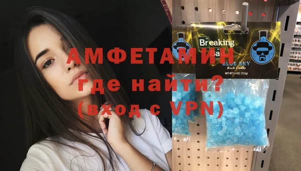 МДПВ Инсар